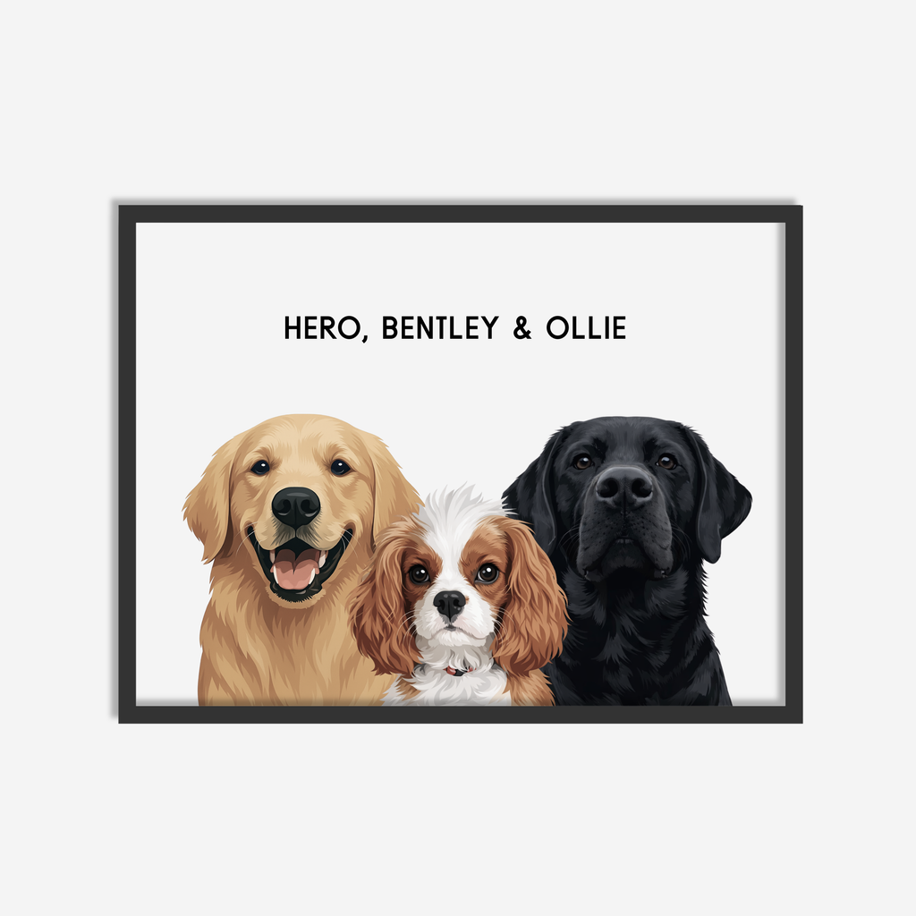 Modern Pet Portrait
