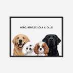 Modern Pet Portrait