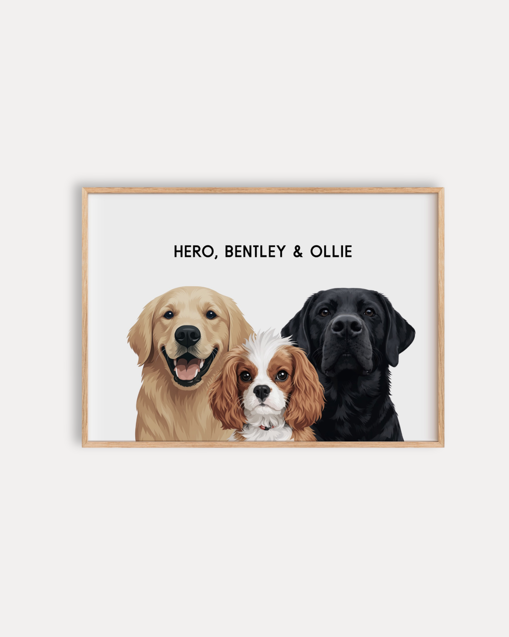 Modern Pet Portrait