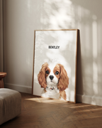 Modern Pet Portrait
