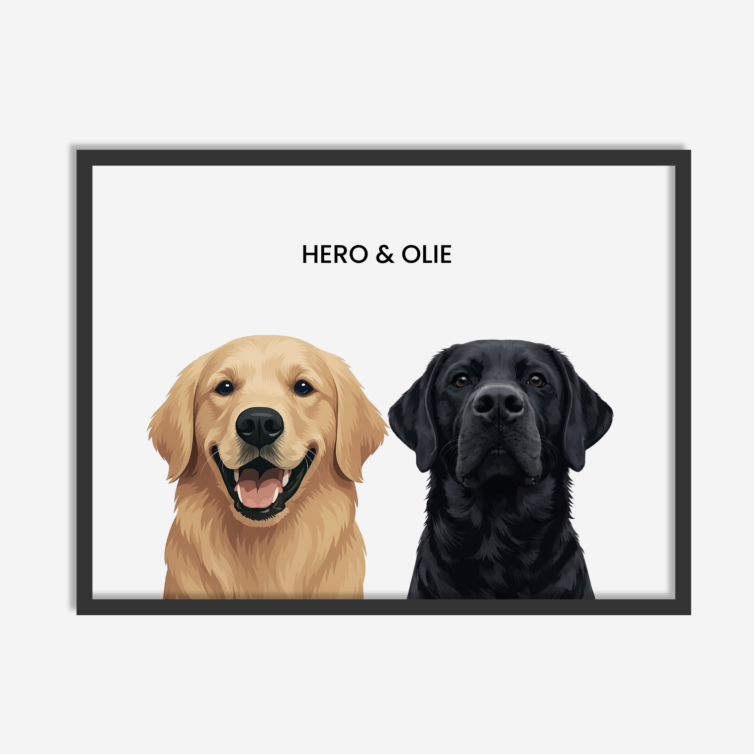Modern Pet Portrait